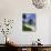 Palm Trees and Beach, Half Moon Bay, Antigua, Leeward Islands, Caribbean, West Indies-John Miller-Photographic Print displayed on a wall