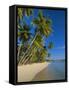 Palm Trees and Beach, Pigeon Point, Tobago, Trinidad and Tobago, West Indies-Gavin Hellier-Framed Stretched Canvas