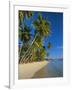 Palm Trees and Beach, Pigeon Point, Tobago, Trinidad and Tobago, West Indies-Gavin Hellier-Framed Photographic Print