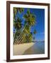 Palm Trees and Beach, Pigeon Point, Tobago, Trinidad and Tobago, West Indies-Gavin Hellier-Framed Photographic Print