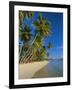 Palm Trees and Beach, Pigeon Point, Tobago, Trinidad and Tobago, West Indies-Gavin Hellier-Framed Photographic Print