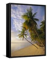 Palm Trees and Beach, Pigeon Point, Tobago, Trinidad and Tobago, West Indies-Gavin Hellier-Framed Stretched Canvas