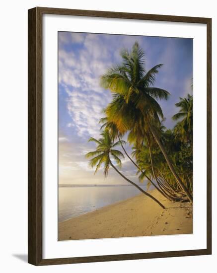 Palm Trees and Beach, Pigeon Point, Tobago, Trinidad and Tobago, West Indies-Gavin Hellier-Framed Photographic Print