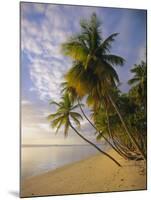 Palm Trees and Beach, Pigeon Point, Tobago, Trinidad and Tobago, West Indies-Gavin Hellier-Mounted Photographic Print