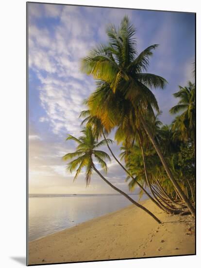 Palm Trees and Beach, Pigeon Point, Tobago, Trinidad and Tobago, West Indies-Gavin Hellier-Mounted Photographic Print