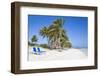 Palm Trees and Beach, Playa El Paso, Cayo Guillermo, Jardines Del Rey, Ciego De Avila Province-Jane Sweeney-Framed Photographic Print