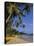 Palm Trees and Beach, Unawatuna, Sri Lanka-Charles Bowman-Stretched Canvas