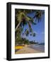 Palm Trees and Beach, Unawatuna, Sri Lanka-Charles Bowman-Framed Photographic Print