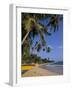 Palm Trees and Beach, Unawatuna, Sri Lanka-Charles Bowman-Framed Photographic Print