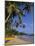 Palm Trees and Beach, Unawatuna, Sri Lanka-Charles Bowman-Mounted Photographic Print