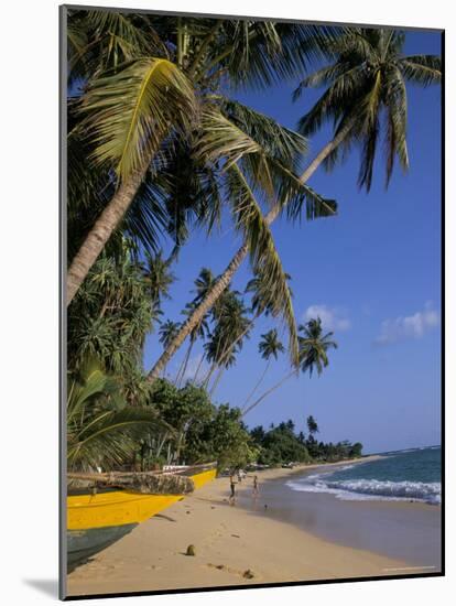 Palm Trees and Beach, Unawatuna, Sri Lanka-Charles Bowman-Mounted Photographic Print