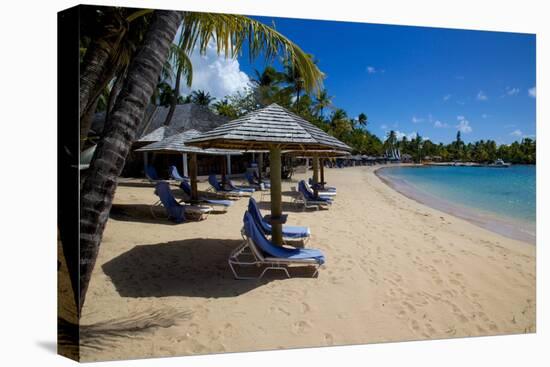 Palm Trees and Beach-Frank Fell-Stretched Canvas