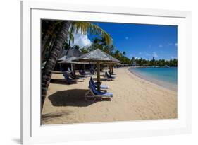 Palm Trees and Beach-Frank Fell-Framed Photographic Print