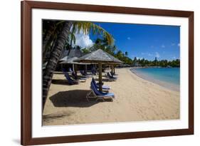 Palm Trees and Beach-Frank Fell-Framed Photographic Print