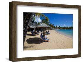 Palm Trees and Beach-Frank Fell-Framed Photographic Print