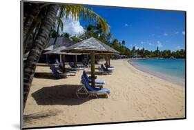 Palm Trees and Beach-Frank Fell-Mounted Photographic Print