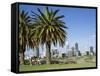 Palm Trees and City Skyline, Perth, Western Australia, Australia-Peter Scholey-Framed Stretched Canvas