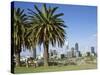 Palm Trees and City Skyline, Perth, Western Australia, Australia-Peter Scholey-Stretched Canvas