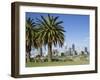 Palm Trees and City Skyline, Perth, Western Australia, Australia-Peter Scholey-Framed Photographic Print