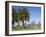 Palm Trees and City Skyline, Perth, Western Australia, Australia-Peter Scholey-Framed Photographic Print