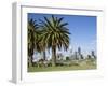 Palm Trees and City Skyline, Perth, Western Australia, Australia-Peter Scholey-Framed Photographic Print