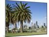 Palm Trees and City Skyline, Perth, Western Australia, Australia-Peter Scholey-Mounted Photographic Print