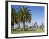 Palm Trees and City Skyline, Perth, Western Australia, Australia-Peter Scholey-Framed Photographic Print