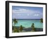 Palm Trees and Coral Reef, Crusoe's Retreat, Coral Coast, Viti Levu, Fiji, South Pacific-David Wall-Framed Premium Photographic Print