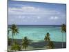 Palm Trees and Coral Reef, Crusoe's Retreat, Coral Coast, Viti Levu, Fiji, South Pacific-David Wall-Mounted Premium Photographic Print