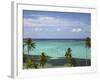 Palm Trees and Coral Reef, Crusoe's Retreat, Coral Coast, Viti Levu, Fiji, South Pacific-David Wall-Framed Photographic Print