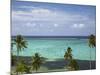 Palm Trees and Coral Reef, Crusoe's Retreat, Coral Coast, Viti Levu, Fiji, South Pacific-David Wall-Mounted Photographic Print