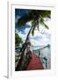 Palm Trees and Dock, Bora Bora, Society Islands, French Polynesia-null-Framed Photographic Print