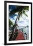 Palm Trees and Dock, Bora Bora, Society Islands, French Polynesia-null-Framed Photographic Print