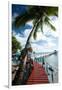 Palm Trees and Dock, Bora Bora, Society Islands, French Polynesia-null-Framed Photographic Print