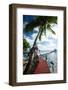 Palm Trees and Dock, Bora Bora, Society Islands, French Polynesia-null-Framed Photographic Print