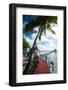 Palm Trees and Dock, Bora Bora, Society Islands, French Polynesia-null-Framed Photographic Print