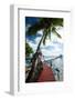 Palm Trees and Dock, Bora Bora, Society Islands, French Polynesia-null-Framed Photographic Print