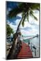 Palm Trees and Dock, Bora Bora, Society Islands, French Polynesia-null-Mounted Photographic Print