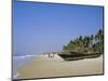 Palm Trees and Fishing Boats, Colva Beach, Goa, India-Jenny Pate-Mounted Photographic Print