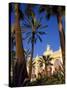 Palm Trees and Flowers in Front of the Casino at Monte Carlo, Monaco-Ruth Tomlinson-Stretched Canvas