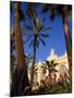 Palm Trees and Flowers in Front of the Casino at Monte Carlo, Monaco-Ruth Tomlinson-Mounted Photographic Print