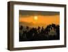 Palm trees and foothills of the Elephant Mountains seen from the Praek Tuek Chhu River, Cambodia-Robert Francis-Framed Photographic Print