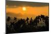 Palm trees and foothills of the Elephant Mountains seen from the Praek Tuek Chhu River, Cambodia-Robert Francis-Mounted Photographic Print