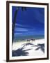 Palm Trees and Horses, Tambua Sands, Coral Coast, Fiji-David Wall-Framed Photographic Print