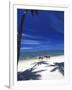 Palm Trees and Horses, Tambua Sands, Coral Coast, Fiji-David Wall-Framed Photographic Print