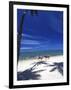 Palm Trees and Horses, Tambua Sands, Coral Coast, Fiji-David Wall-Framed Photographic Print