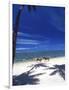 Palm Trees and Horses, Tambua Sands, Coral Coast, Fiji-David Wall-Framed Photographic Print
