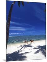 Palm Trees and Horses, Tambua Sands, Coral Coast, Fiji-David Wall-Mounted Photographic Print