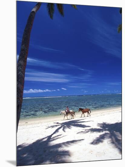 Palm Trees and Horses, Tambua Sands, Coral Coast, Fiji-David Wall-Mounted Photographic Print