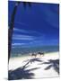 Palm Trees and Horses, Tambua Sands, Coral Coast, Fiji-David Wall-Mounted Photographic Print